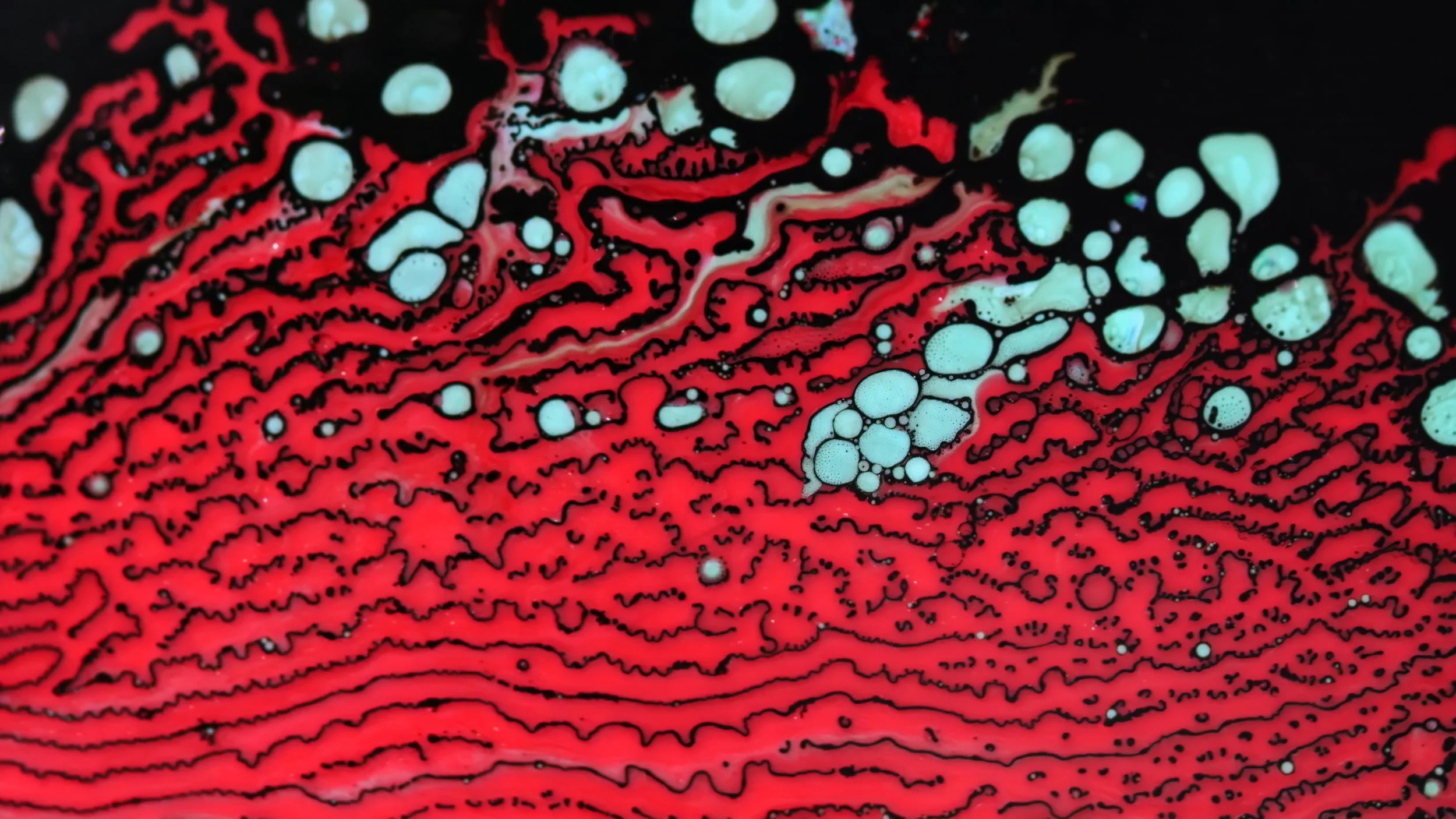 Fluid Vision - Blue Macro